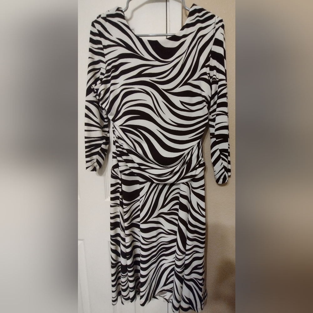 Zebra Stripe Dress